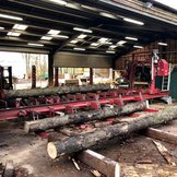 Sweet Chestnut Beams