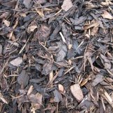 Border Bark