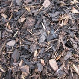 Border Bark