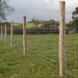 Stock Fence