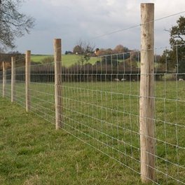 Stock Fence