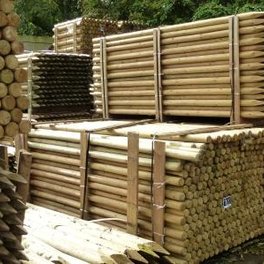 Tree Stakes