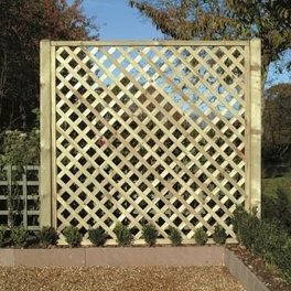 Diagonal Trellis